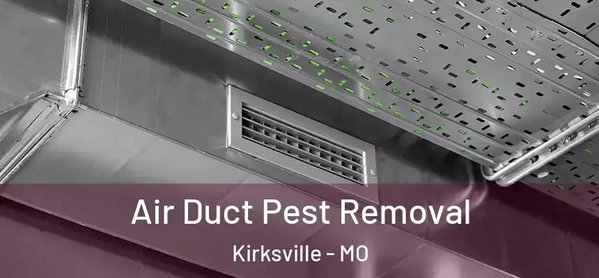  Air Duct Pest Removal Kirksville - MO