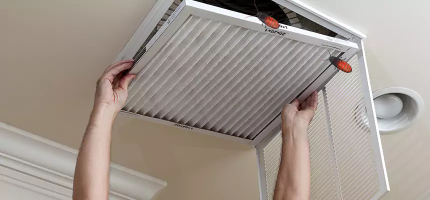 Preventive Cockroach-Proofing for Ducts in Kirksville