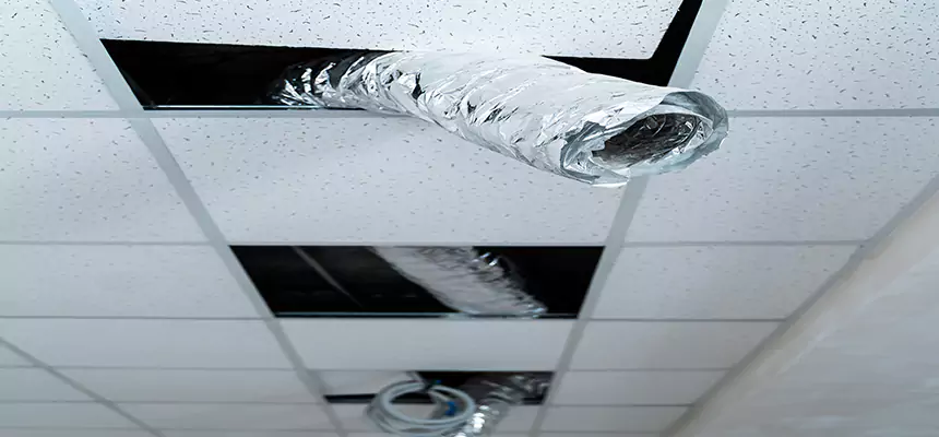 Our Air Duct Pet Hair Removal Services in Kirksville, MO