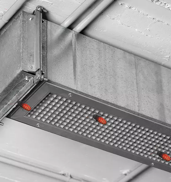 About Air Duct Cockroach Removal in Kirksville, MO