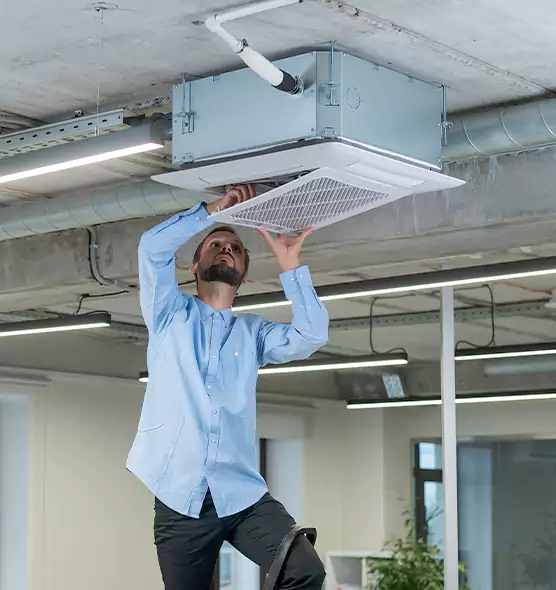 Advanced Rodent Droppings In Vents in Kirksville, MO