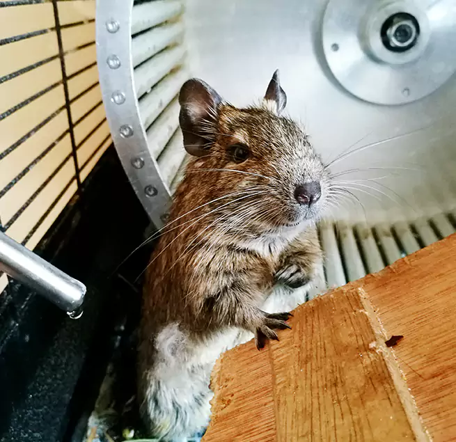 Why Homeowners & Businesses Trust Us Kirksville, MO