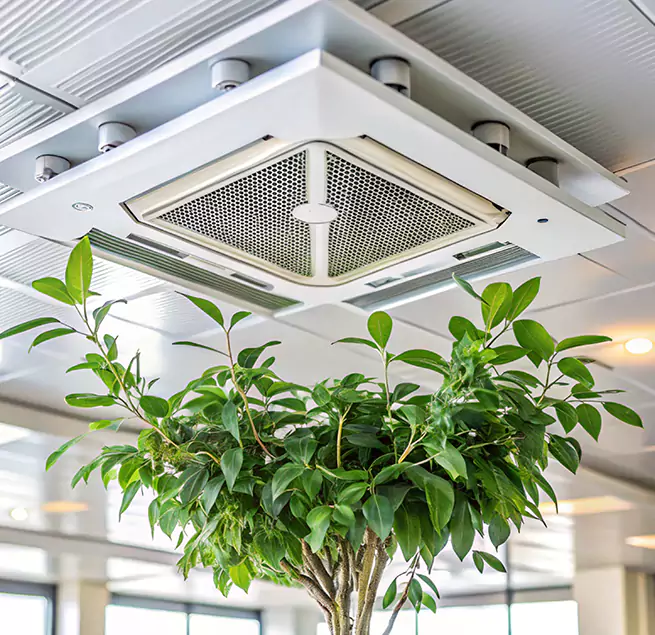 Why Homeowners & Businesses Trust Us in Kirksville, MO?